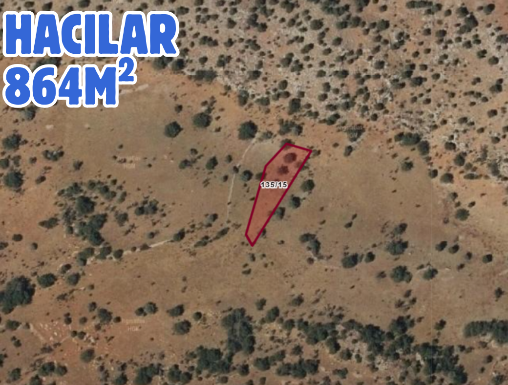 Fotoğraf